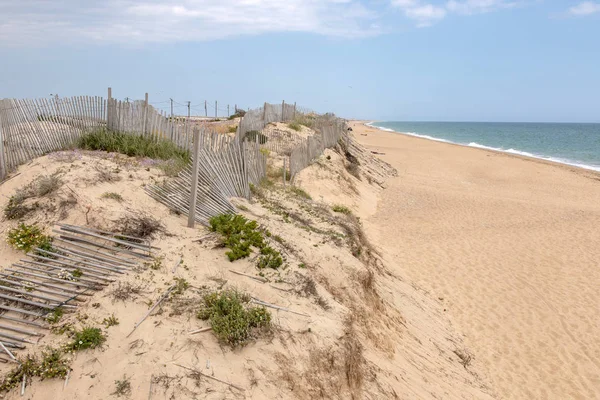 Sand Dunes Shoreline Beach Faro Region Portugal — Stock Photo, Image