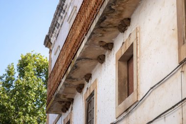 Eski terk edilmiş binada swallow kuş yuva görünümü.