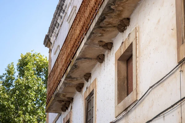 Vista Ninhos Pássaros Engolir Edifício Abandonado Velho — Fotografia de Stock