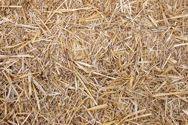 Close View Organic Straw Background Texturel — Stock Photo, Image