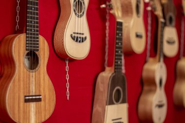 Bir grup küçük klasik dört dize gitar görünümünü kapat.