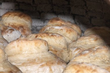 Taş kömürü fırını, alentejo, algarve geleneğinden bölgelerden Portekiz pişirme geleneksel rustik ekmek.