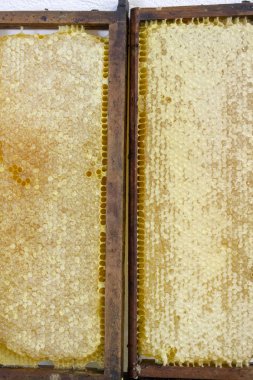 Tam dolu petek bal tatlı detayını görünümü kapatın.