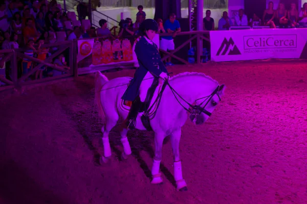 Lagoa Portugal Show Augustus 2018 Paard Arena Een Lokale Tentoonstelling — Stockfoto