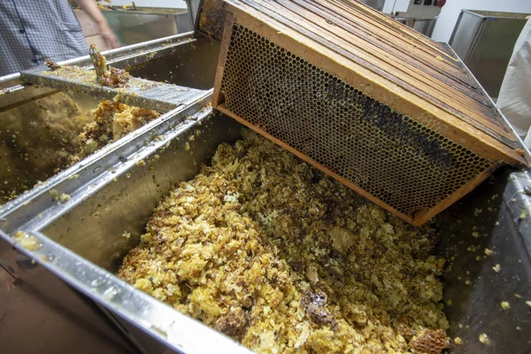 Närbild Bild Honeycomb Avfall Insättning Fabrik — Stockfoto