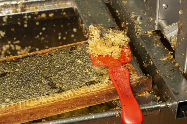 Lähikuva Hunajakennon Jätteestä Tehtaalla — kuvapankkivalokuva