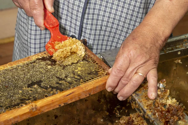 Biodlaren Skrotar Honeycombs Med Verktyg Fabriken — Stockfoto