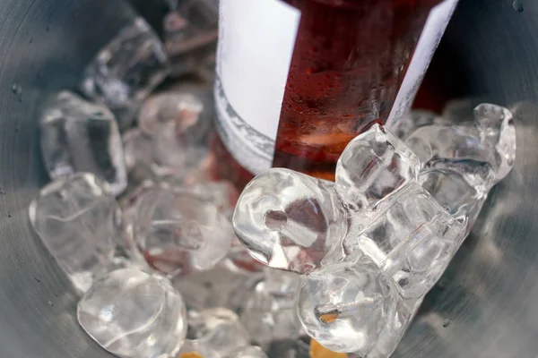 Buz Kovası Üzerinde Taze Kırmızı Şarap Görünümü Kadar Kapatın — Stok fotoğraf