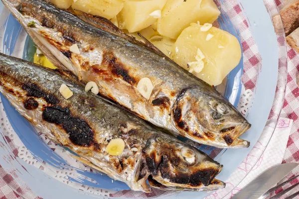 Grillad Taggmakrill Måltid Med Sallad Och Potatis — Stockfoto