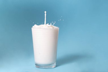 mavi bir arka plan üzerinde izole süt dolu bardak.