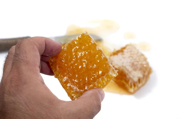 Hand Holding Piece Fresh Slice Sweet Honeycomb Filled Honey — Stock Photo, Image