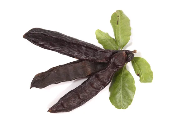 Close View Carob Fruits Leaves Isolated White Background — Stock Photo, Image