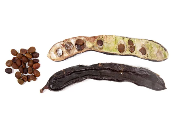 Carob 과일의 나뭇잎 — 스톡 사진