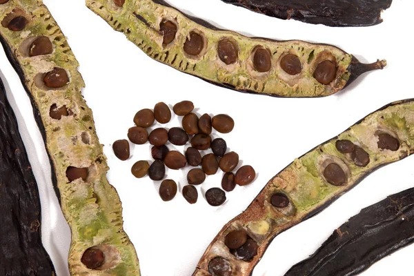 Carob 과일의 나뭇잎 — 스톡 사진