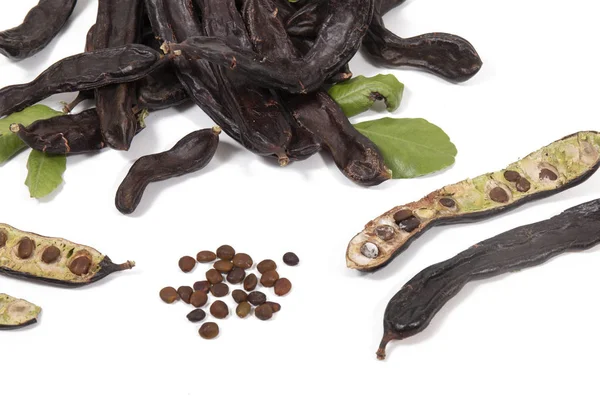 Carob 과일의 나뭇잎 — 스톡 사진