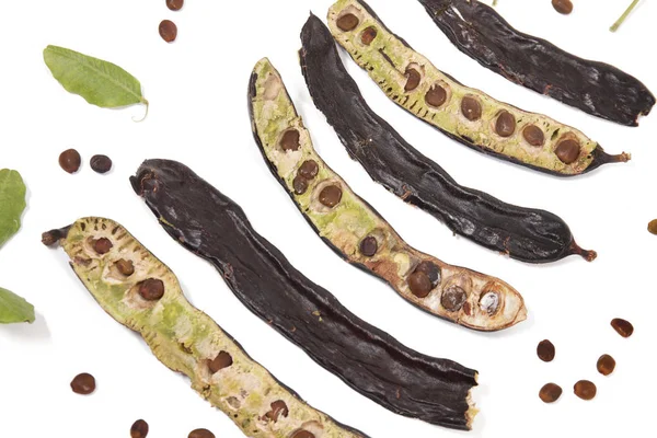 Carob 과일의 나뭇잎 — 스톡 사진