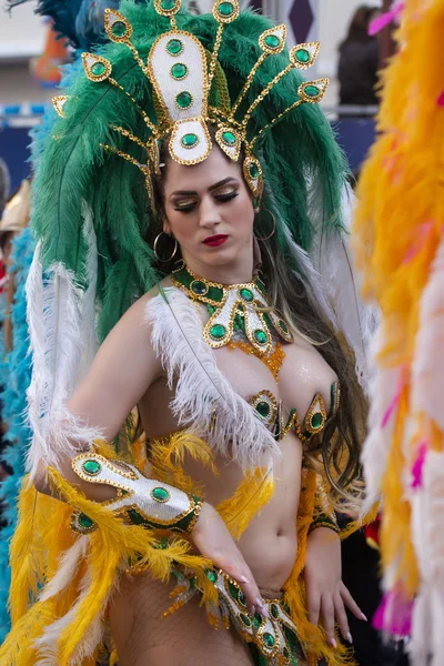 Desfile de carnaval participantes del festival —  Fotos de Stock