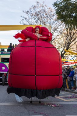 Karnaval geçit Festivali katılımcıları