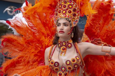 Karnaval geçit Festivali katılımcıları