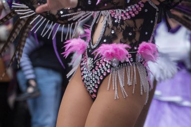 Karnaval geçit Festivali katılımcıları