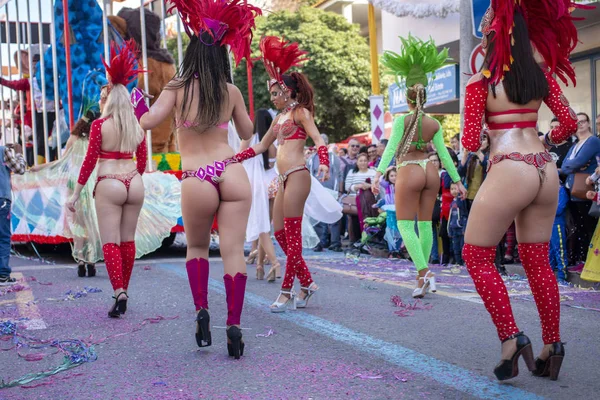 Partecipanti al festival della sfilata di Carnevale — Foto Stock