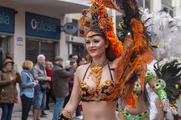 Desfile de carnaval participantes del festival —  Fotos de Stock