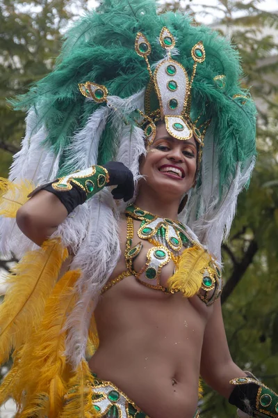 Participants au festival de défilé de carnaval — Photo