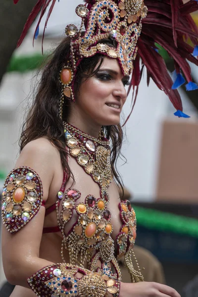 Partecipanti al festival della sfilata di Carnevale — Foto Stock