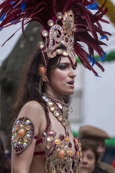 Carnival parad Festival deltagare — Stockfoto