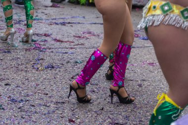 Karnaval geçit Festivali katılımcıları