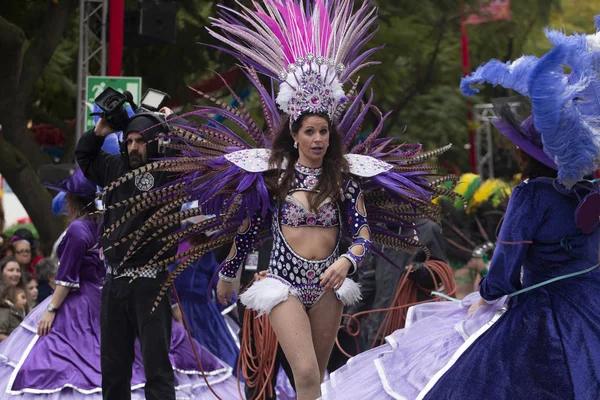 Carnival parade festival participants — Stock Photo, Image