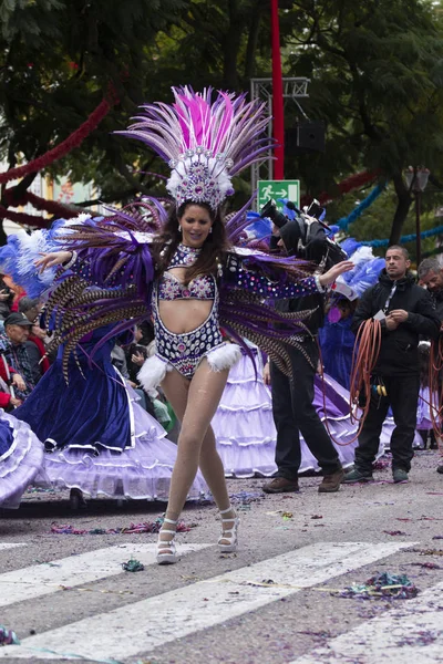 Desfile de carnaval participantes del festival — Foto de Stock