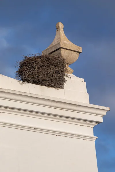 Witte ooievaar nest — Stockfoto