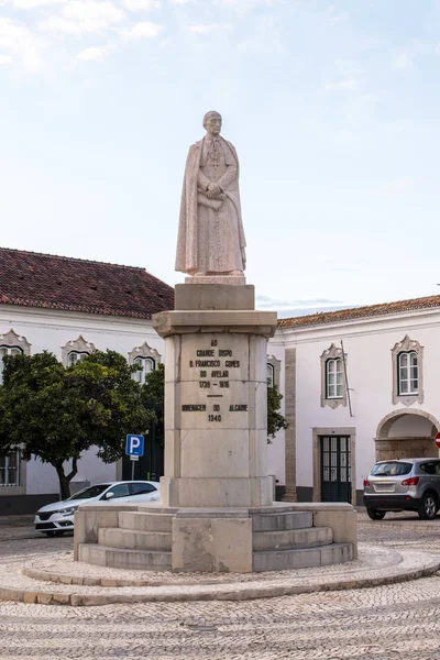 Estatua de Francisco Avelar —  Fotos de Stock