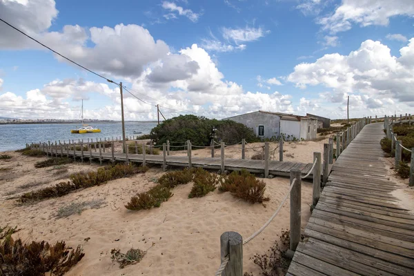 Sand dunes shoreline — Stock Photo, Image