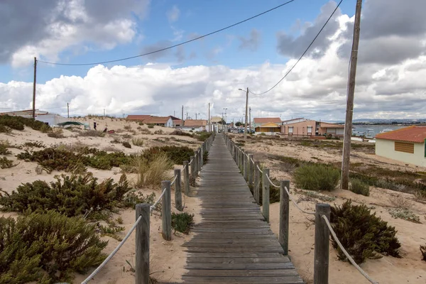 Sand dunes shoreline — Stock Photo, Image