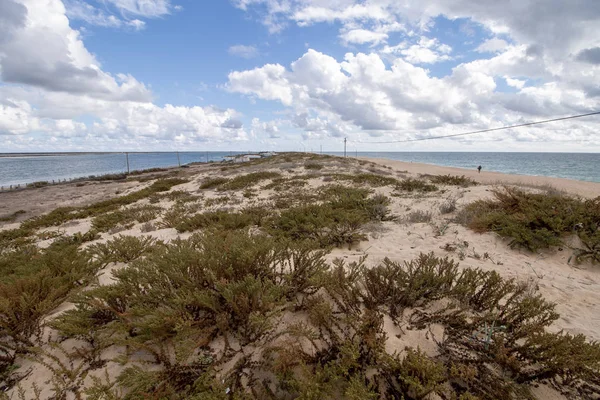 Sand dunes shoreline — Stock Photo, Image