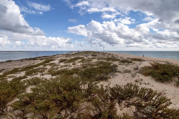 Sand dunes shoreline — Stock Photo, Image
