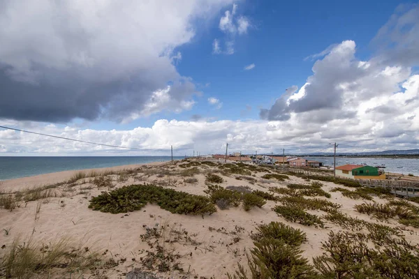 Sand dunes shoreline — Stock Photo, Image