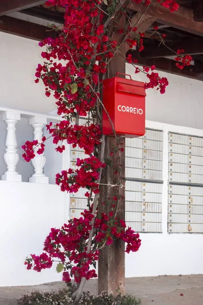 portuguese red mail box