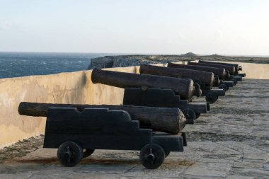 eski paslı cannon