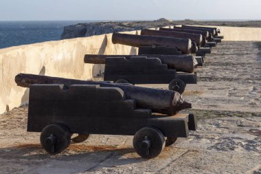 eski paslı cannon