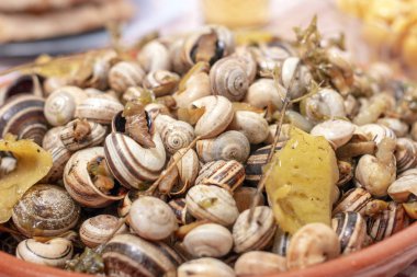 Pişmiş salyangoz geleneksel yemek