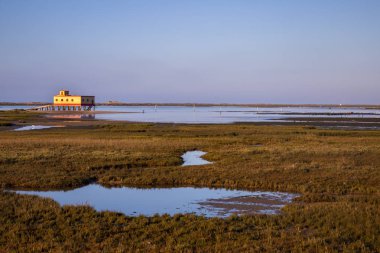 Fuseta bataklık düşük gelgit