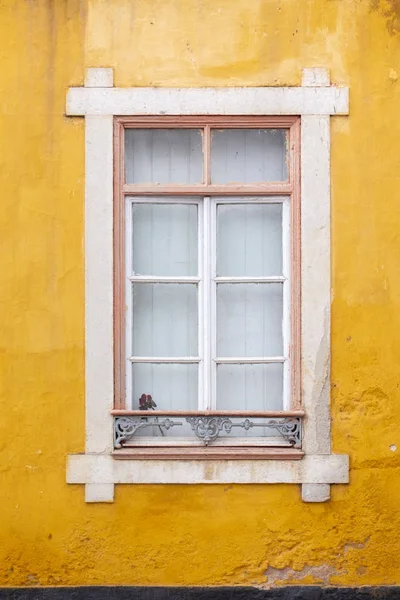 Mooi Portugees raam detail — Stockfoto