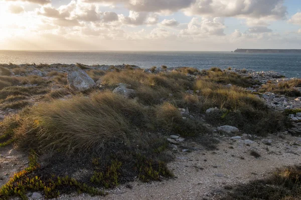 Landskap av kusten i Sagres — Stockfoto