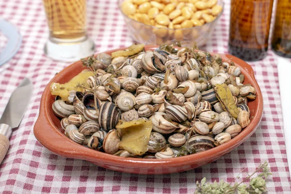 Traditional dish of cooked snails — Stock Photo, Image