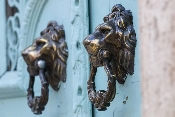 Doorknob in the shape of a lion — Stock Photo, Image