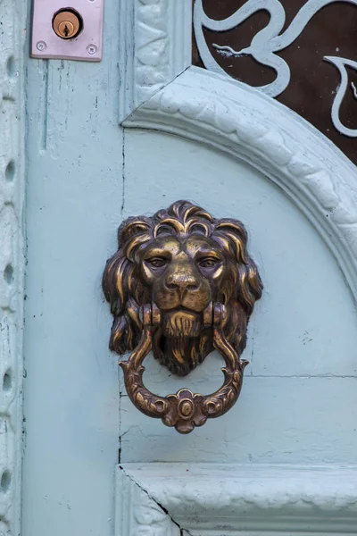 사자 모양의 문 손잡이 — 스톡 사진