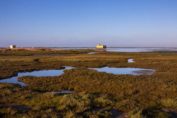 Marais de Fuseta marée basse — Photo